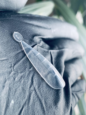 Silicone Dual forms ALMOND reusable (120pcs)