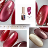 Set of 6 ROYAL SILK cat eye