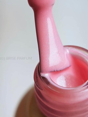 Ritzy Lac BRISE PARFUME 203 (tpo free)