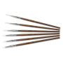 Ritzy Nails ART & PERFECTION Brush set (6 brushes) 