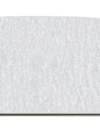 Ritzy Nails File 100/100 